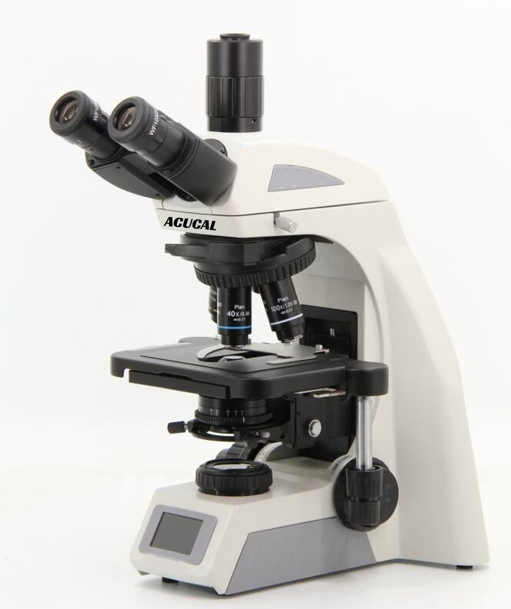Product View